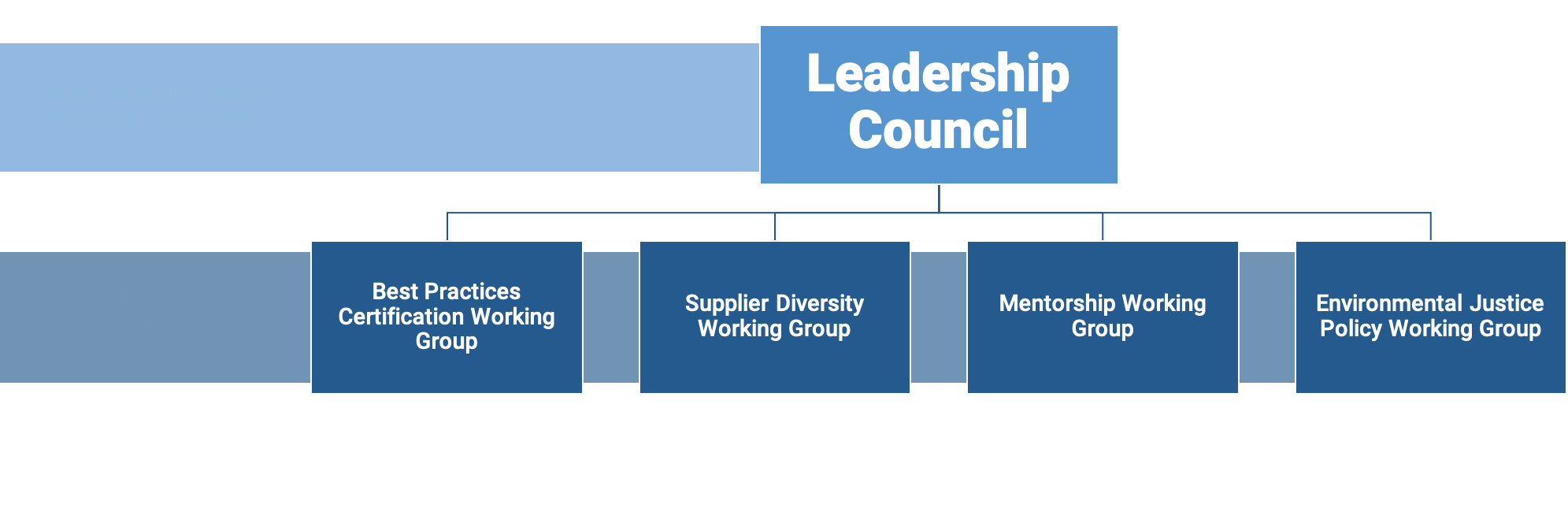 DEIJ Leadership Council Structure